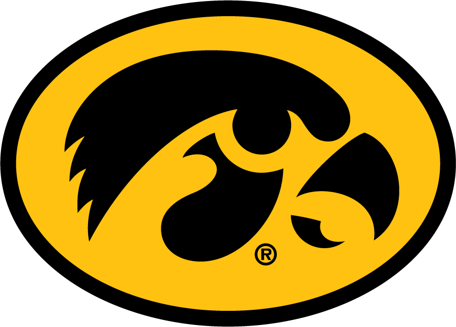 Iowa Hawkeyes 1993-Pres Alternate Logo diy DTF decal sticker